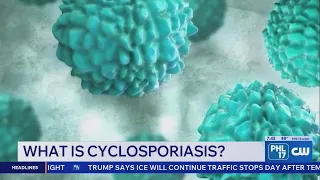 Cyclosporiasis Update What Philadelphia Health s Want You to Know PHL17 Morning News