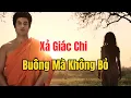 Lagu Phật Dạy Xả Giác Chi – Tỉnh Thức Sống An Yên Giữa Đời