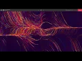 David s Creative Coding Final Project