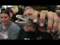 Conroe HERPS Show June 2025