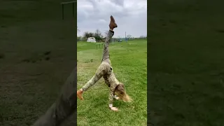 Доброго вечора ми з України  Доброго вечора ми з України