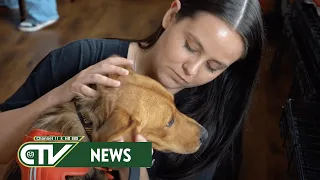 All Aboard Animal Rescue - CTV News