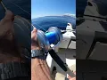 Download Lagu ⚠️ HUGE TUNA!💥💥 Do you want to see the final result?! 😎 #giant #tuna #fishing #catchandrelease