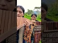 Download Lagu The Sound Of Silence - Panflute - Flute - Quena - Toyos