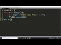 How to take user input in a list in Python