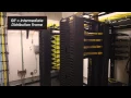 USF IT Part 1