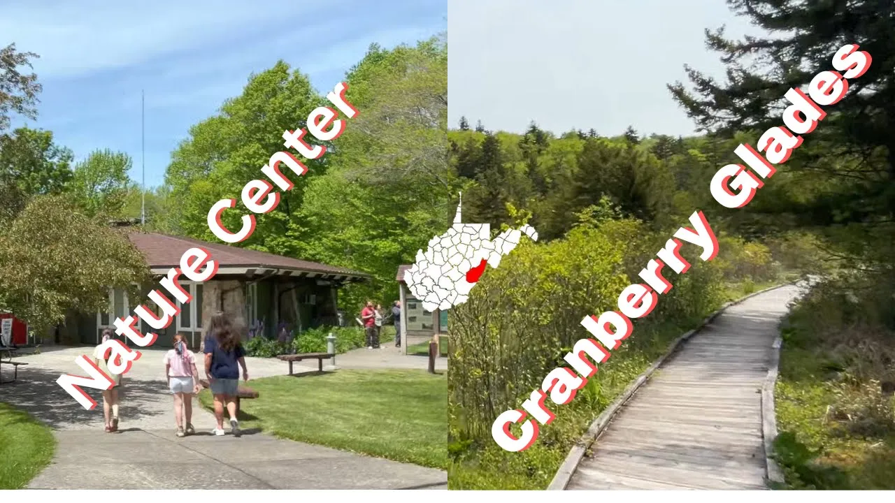 Cranberry Glades and Nature Center. Pocahontas county, W.Va.