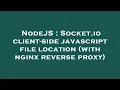 NodeJS Socket io client-side javascript file location with nginx reverse proxy