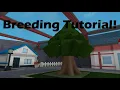 Breeding Tutorial for Project Shining Silver Pokemon Brick Bronze Roblox