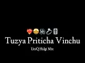 Download Lagu Tuzya Priticha Vinchu - Private Mix - Its OmkarStyle Remix