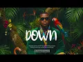 Lagu Shallipopi x Famous Pluto x Zerry DL x Smur Lee Type Beat – “DOWN” | 2025 Amapiano Instrumental