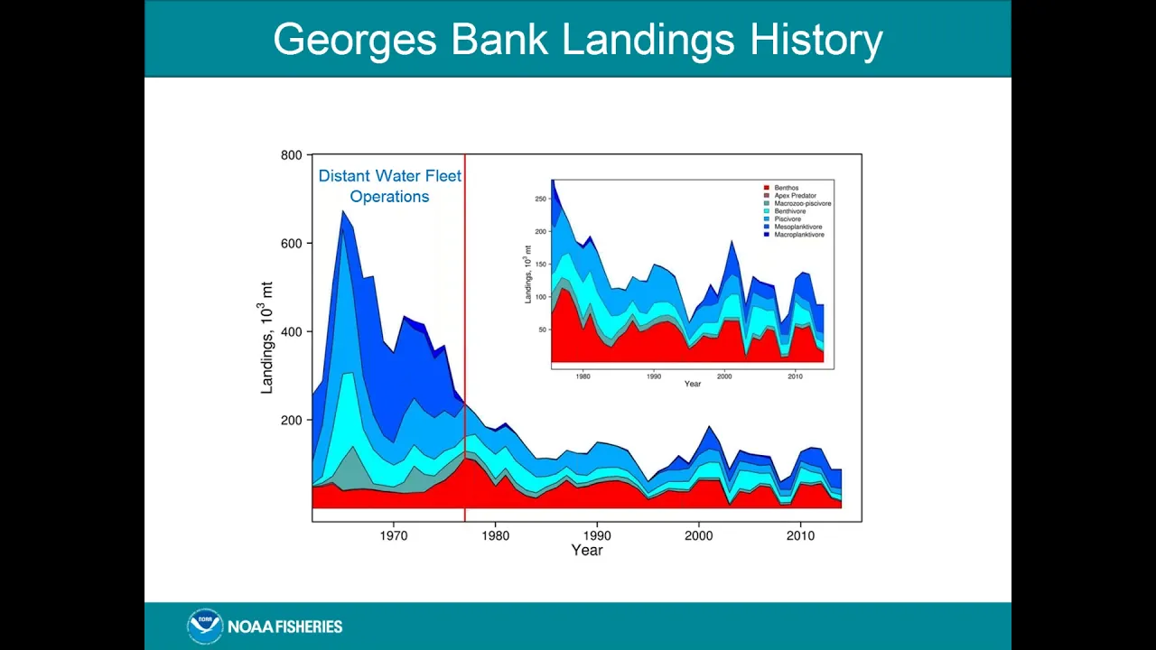 Towards Operational Ecosystem based Fisheries Management on Georges Bank