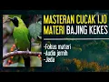 Lagu MASTERAN CUCAK IJO - MATERI BAJING KEKES