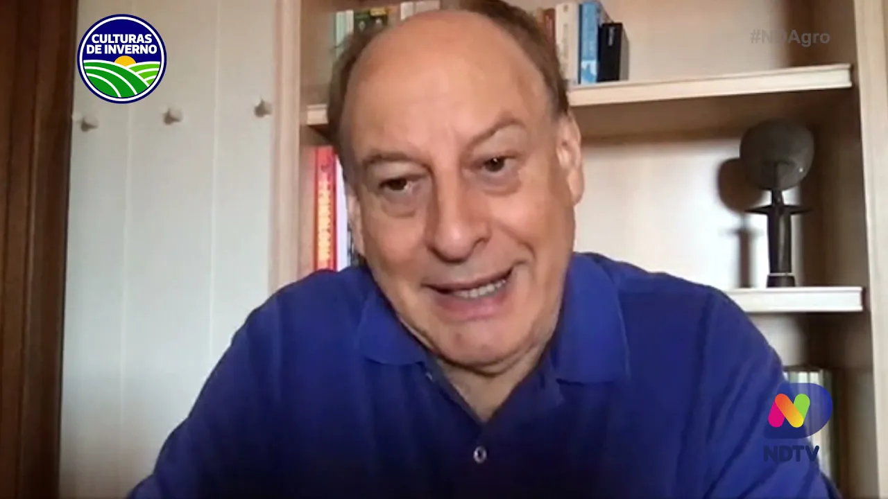 Estudos apontam que cereais de inverno são opções viáveis para produção de rações