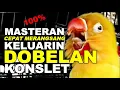 Download Lagu Masteran Lovebird paling dicari!! Cepat merangsang dobelan konslet!!!!