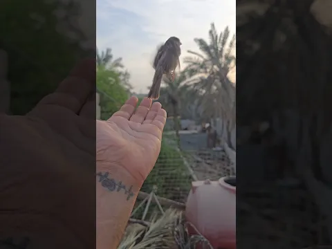 أنقذت حياتة من الموت😔