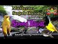 Download Lagu Masteran Sogok Ontong Full Tembakan Speed Rapat Kualitas Suara Jernih