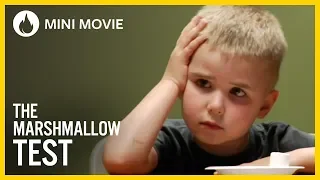 The Marshmallow Test Igniter Media Church