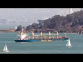 Pacific Basin Shipping Limited Wikipedia article