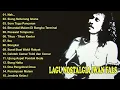 Lagu Iwan Fals Full Album Nostalgia Terpopuler  - Nak Siang Seberang Istana -   Bongkar - Ibu
