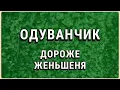 Channel
