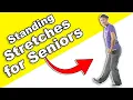 SIMPLE Standing Stretching Routine for Seniors - In Real-time