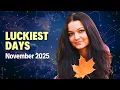 The Luckiest Day In November 2025 For Each Zodiac Sign