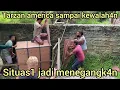Download Lagu MOMEN MENEGANGK4N PINDAHIN HEWAN BESAR DARI PAPUA TARZAN AMERICA SAMPAI KEWALAH4N