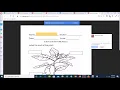 How to Submit Your Homework or Assignment in Google Classroom