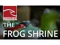The Frog Shrine Did You Know
