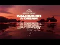 Empire Of The Sun - Walking On A Dream (WAVES REMIX)