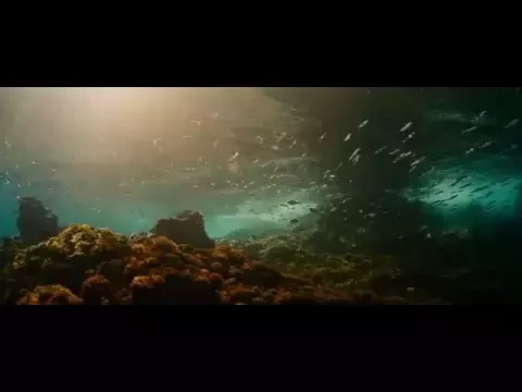 Official UK Trailer