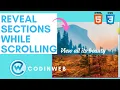 CSS Reveal Sections on Scroll CSS Tips Tricks CodinWeb