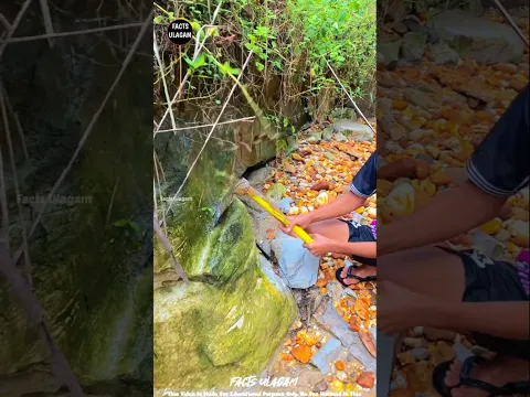 Wow, 😱😱!! Found Gold in River Sand?! Nature's Treasure!💰 | #factsintamil #factsulagam #short