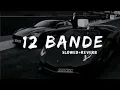 12 Bande - Varinder Brar { Perfectly Slowed + Reverbed }