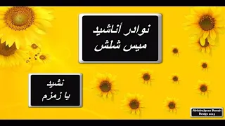 نشيد يا زمزم ميس شلش نوادر أناشيد ميس شلش ألبوم يا زمزم 