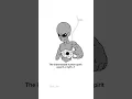 Download Lagu We were born to inherit the stars | Memes/ Exit Music (For a Film) #memes #helldivers2 #helldivers