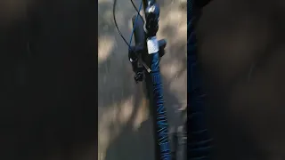 Schwinn sidewinder 24in