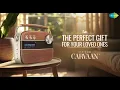 Bollywood & Chill - LoFi | Zara Zara - Lofi | Maula Mere Maula - LoFi | Pehla Nasha - LoFi