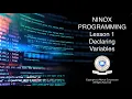 101 Programming Ninox - Declaring Variables