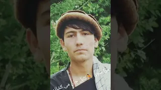 دل تنگم که میگرید شبانه نجیب کشمی 