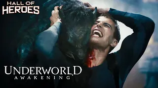 the werewolf raid underworld awakening hall of heroes