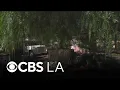 Abandoned home turns into nuisance for North Hollywood neighborhood