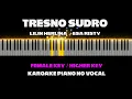 TRESNO SUDRO - Esa Risty ( Karaoke Akustik Piano [ FEMALE KEY] ) by Othista