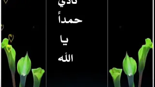 ذكر الله شفاء فضل الله عطاء اناشيد إسلامية 