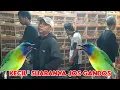 Download Lagu KECIL ² SUARA NYA JOS GANDOS