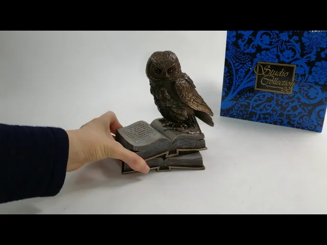 Видео-обзор Статуэтка 'Сова на книгах'
