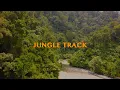 Download Lagu Ilianos ft. Ray Denz - Jungle Track (in Bukit Lawang)