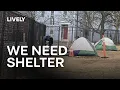 Give Rhode Islanders Shelter Lively