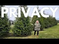 Lagu Top 2 Privacy Screen Trees. Grow A Living Fence. Green Giant vs. Emerald Green Arborvitae Comparison